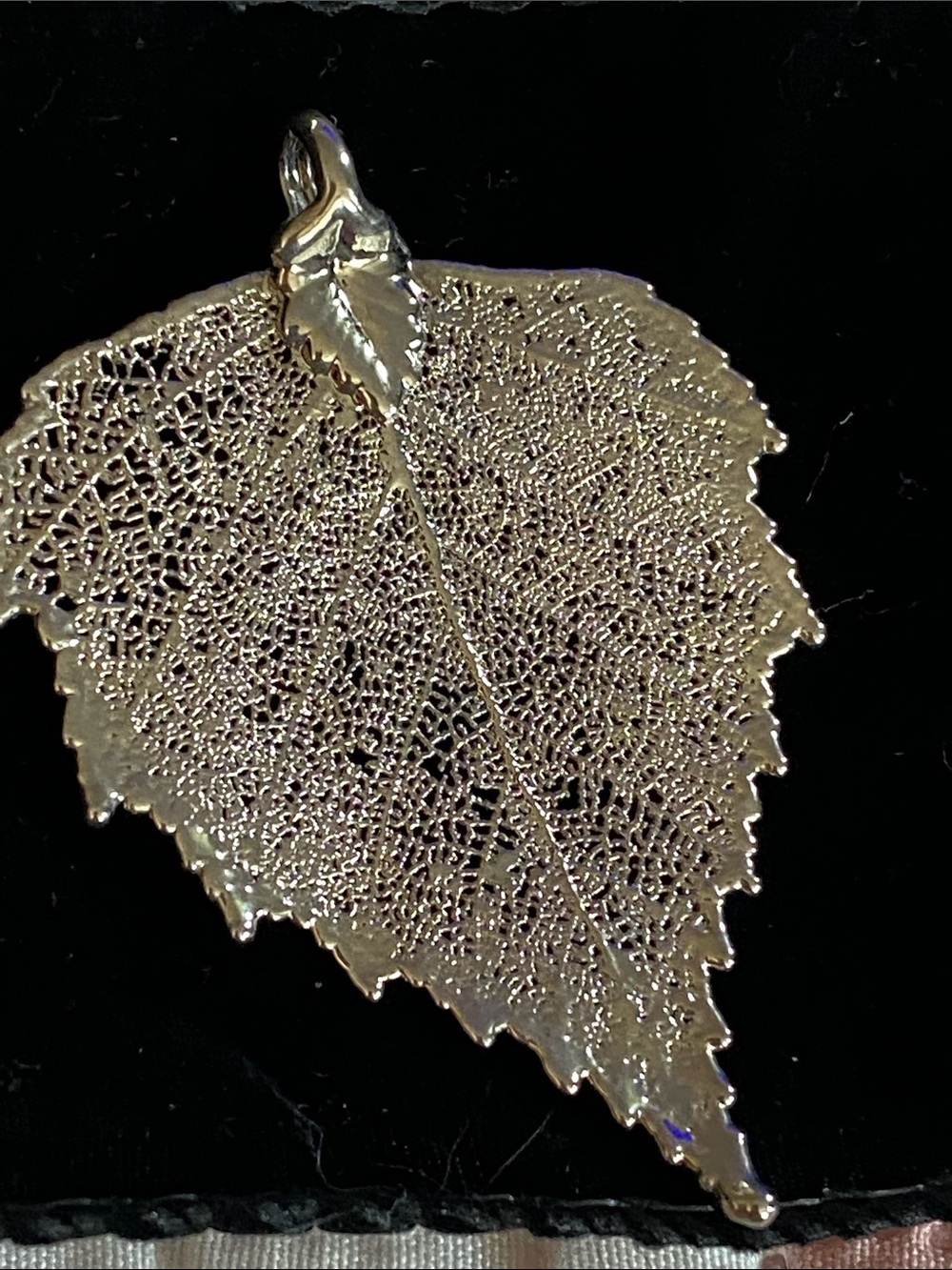Living leaf pendant necklace dipped in silver